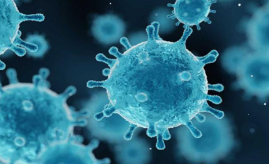 noticiados noticiados