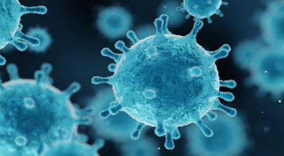 noticiados noticiados