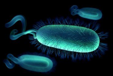 noticiacinco noticiacinco