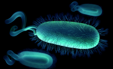 noticiacinco noticiacinco