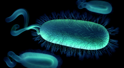 noticiacinco noticiacinco