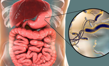 noticiacuatro noticiacuatro