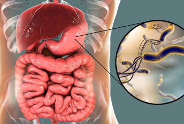 noticiacuatro noticiacuatro