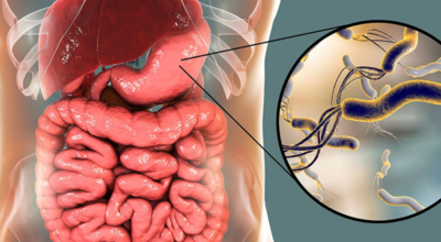 noticiacuatro noticiacuatro